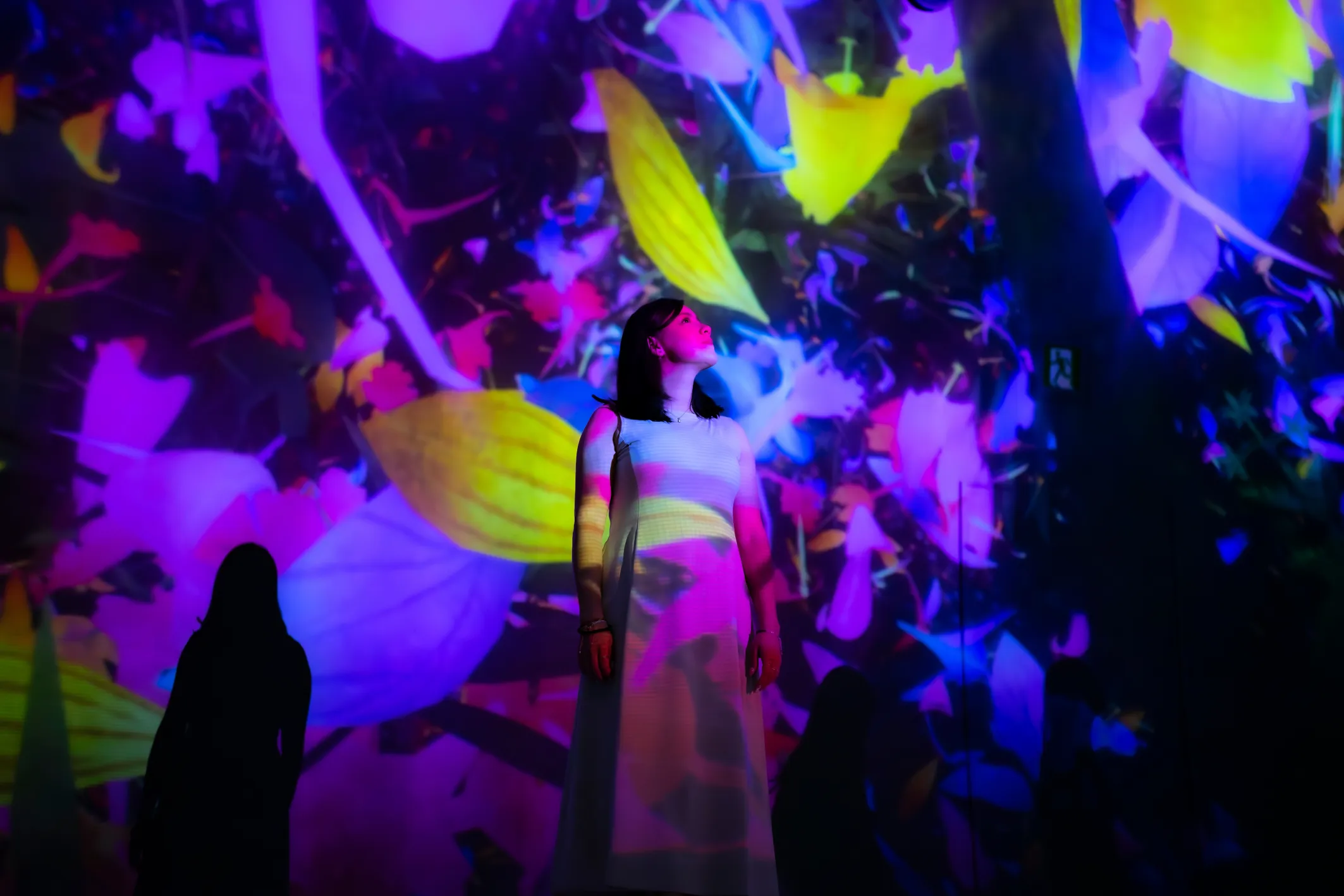 background hero immersive projections experience